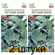 Цинерария приморская Летний иней (Семена Аэлита) - 2 штуки