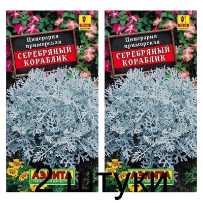 Цинерария Серебряный кораблик (Семена Аэлита) - 2 штуки