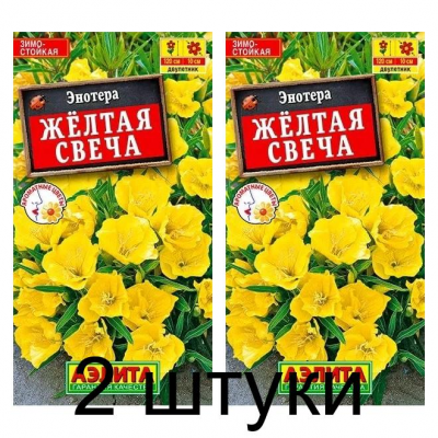 Энотера Желтая свеча (Семена Аэлита) - 2 штуки