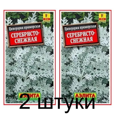 Цинерария приморская Серебристо-снежная (Семена Аэлита) - 2 штуки