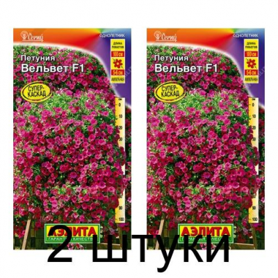 Петуния Вельвет F1 (Семена Аэлита) - 2 штуки