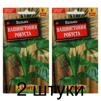 Пальма Вашингтония робуста (Семена Аэлита) - 2 штуки
