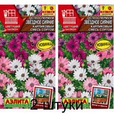Остеоспермум карликовый Звездное сияние смесь, 10 семян (серия Цветущий балкон - Аэлита) -2шт