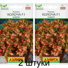Колеус Колоча Скарлет F1, 5 семян (Сerny Seed, Аэлита) -2шт