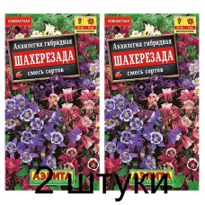 Аквилегия Шахерезада (Семена Аэлита) - 2 штуки