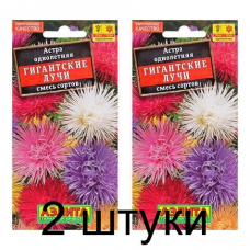 Астра Гигантские лучи, смесь (Семена Аэлита) - 2 штуки