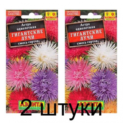Астра Гигантские лучи, смесь (Семена Аэлита) - 2 штуки