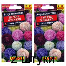 Астра китайская Тысяча желаний, смесь (Семена Аэлита) - 2 штуки