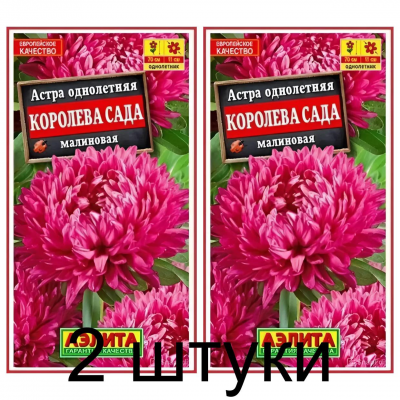 Астра Королева сада малиновая (Семена Аэлита) - 2 штуки