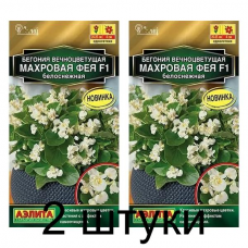 Бегония вечноцветущая Махровая фея белоснежная F1 (Семена Аэлита) - 2 штуки