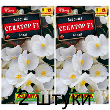 Бегония Сенатор белая F1 (Семена Аэлита) - 2 штуки