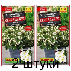 Бегония Сенсация белая зеленолистная F1 (Семена Аэлита) - 2 штуки