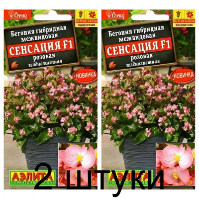 Бегония Сенсация розовая зеленолистная F1 (Семена Аэлита) - 2 штуки