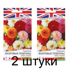 Георгина Махровые помпоны, смесь (Семена Аэлита) - 2 штуки