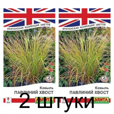 Ковыль Павлиний хвост (Семена Аэлита) - 2 штуки