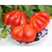 Томат крупноплодный Абруццо (Серия Самое-самое - Аэлита) - 2 штуки