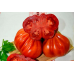 Томат крупноплодный Абруццо (Серия Самое-самое - Аэлита) - 2 штуки