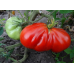 Томат крупноплодный Абруццо (Серия Самое-самое - Аэлита) - 2 штуки