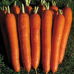 Морковь на ленте Красный великан, длина ленты 8 метров /240 семян/ (Аэлита) -2шт