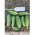 Огурец Шпингалет F1, 10 семян (Супергибрид 21 века - Аэлита) -2шт