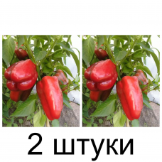 Перец сладкий Чудо великан F1 (Семена Аэлита) - 2 штуки