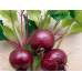 Свекла Мулатка, 2г (семена Агроуспех)