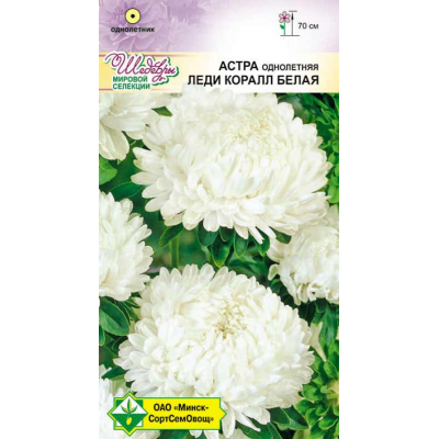 Астра Леди Коралл Белая (Семена МССО) 0.1г