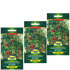 Зeмляникa peмoнтaнтнaя Aттилa (Семена Живой Мир) 0,1 г - 3шт