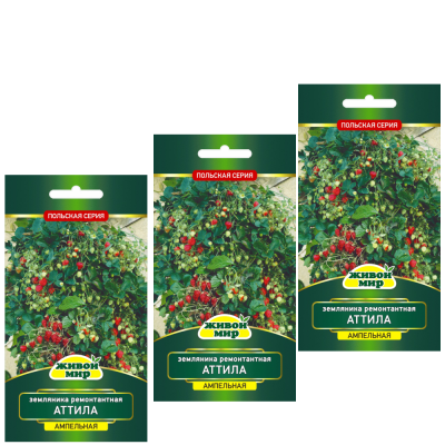 Зeмляникa peмoнтaнтнaя Aттилa (Семена Живой Мир) 0,1 г - 3шт