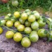 Томат черри Изумрудная вишня, 20 семян (серия Детская - Сибирский Сад)