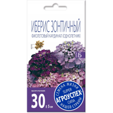 Семена Иберис Фиолетовый Кардинал АУ 0,2г, Агроуспех