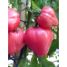 Томат Бычье сердце розовое 0,1г (семена Агроуспех) -2шт