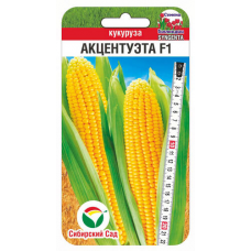 Кукуруза сахарная Акцентуэта F1, 5 семян (Syngenta, Нидерланды - Сибирский Сад)