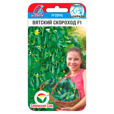 Огурец Вятский скороход 6шт (Сиб Сад)