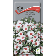 Гвоздика китайская Рондо (Семена Поиск) 0,01г