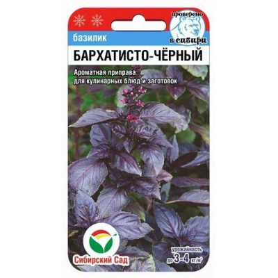 Базилик Бархатисто-черный 0,5гр (Семена Сиб Сад)