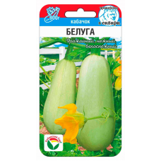 Кабачок Белуга 5шт (Семена Сиб Сад)