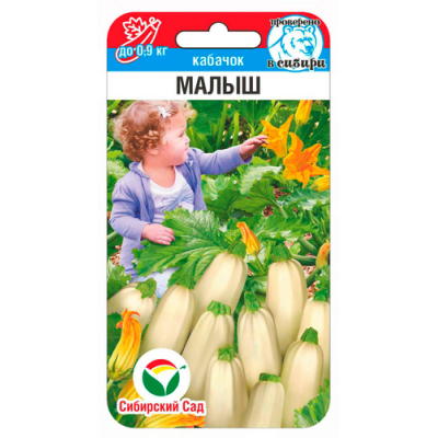 Кабачок Малыш 5шт (Семена Сиб Сад)