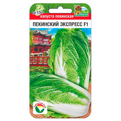 Капуста пекинская Пекинский экспресс F1 10шт (Семена Сиб Сад)