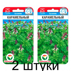 Базилик Карамельный 0,5гр (Семена Сиб Сад) - 2 штуки