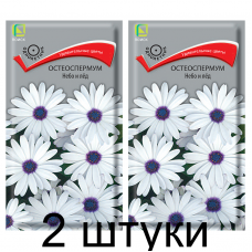 Остеоспермум Небо и Лед (Семена Поиск) 01,г - 2 штуки
