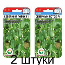 Огурец СЕВЕРНЫЙ ПОТОК F1 7шт (Сиб Сад) - 2 штуки