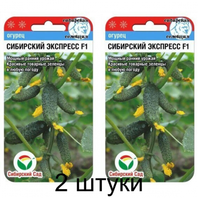 Огурец Сибирский экспресс F1, 7 семян (Сибирская селекция)