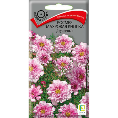 Космея Махровая кнопка Двуцветная 0,1г (Семена ПОИСК)