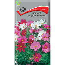 Космея Дварф Сенсейшн микс    0,2гр (Семена ПОИСК)
