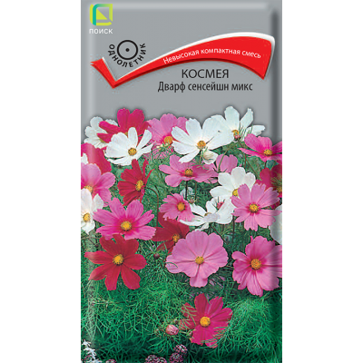 Космея Дварф Сенсейшн микс    0,2гр (Семена ПОИСК)