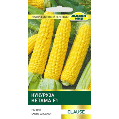 Кукуруза Кетама F1 (Clause) 15 шт, РБ (Семена Живой Мир)