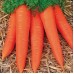 Морковь Карамелька, семена на ленте, длина ленты - 8 метров (Аэлита)