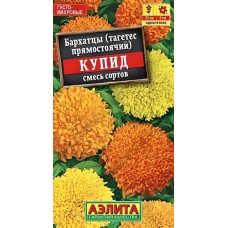 Бархатцы Купид хризантемовидные, смесь сортов (Семена Аэлита)