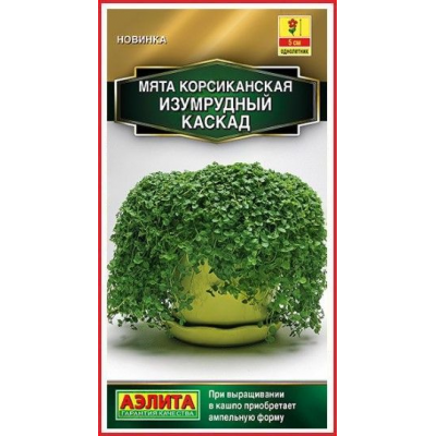 Мята корсиканская Изумрудный каскад (Семена Аэлита)